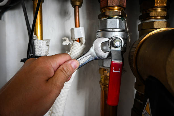 Best Plumbing Inspection Services  in Hamilton, AL